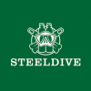 Steeldive